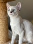 Tilly_Tessi (5)